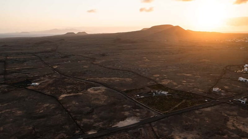 Fuerteventura: Tour & tasting at Conatvs Winery - Vineyard walk: grapes, vine layout, and island farming reality