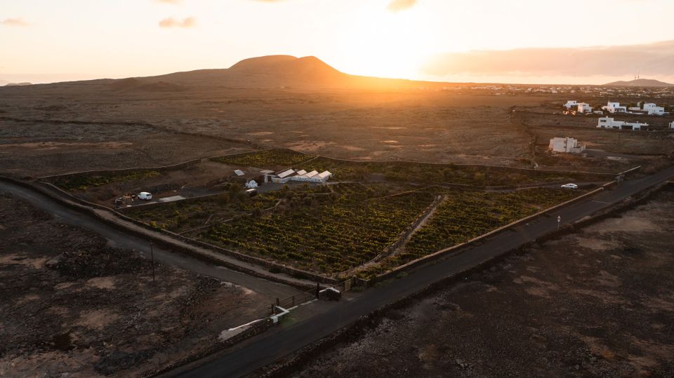 Fuerteventura: Tour & tasting at Conatvs Winery - Price and value: does $46 make sense for this hour?
