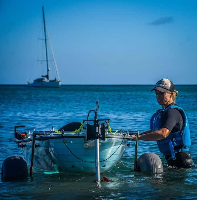 Fuerteventura: Transparent Electric Kayaks with Guide - Timing, Meeting Point, and How to Plan Your Day