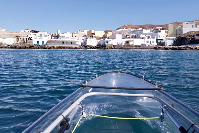 Fuerteventura: Transparent Electric Kayaks with Guide - What You’ll Actually See Underwater: Fish, Crabs, Starfish, and Rock Life