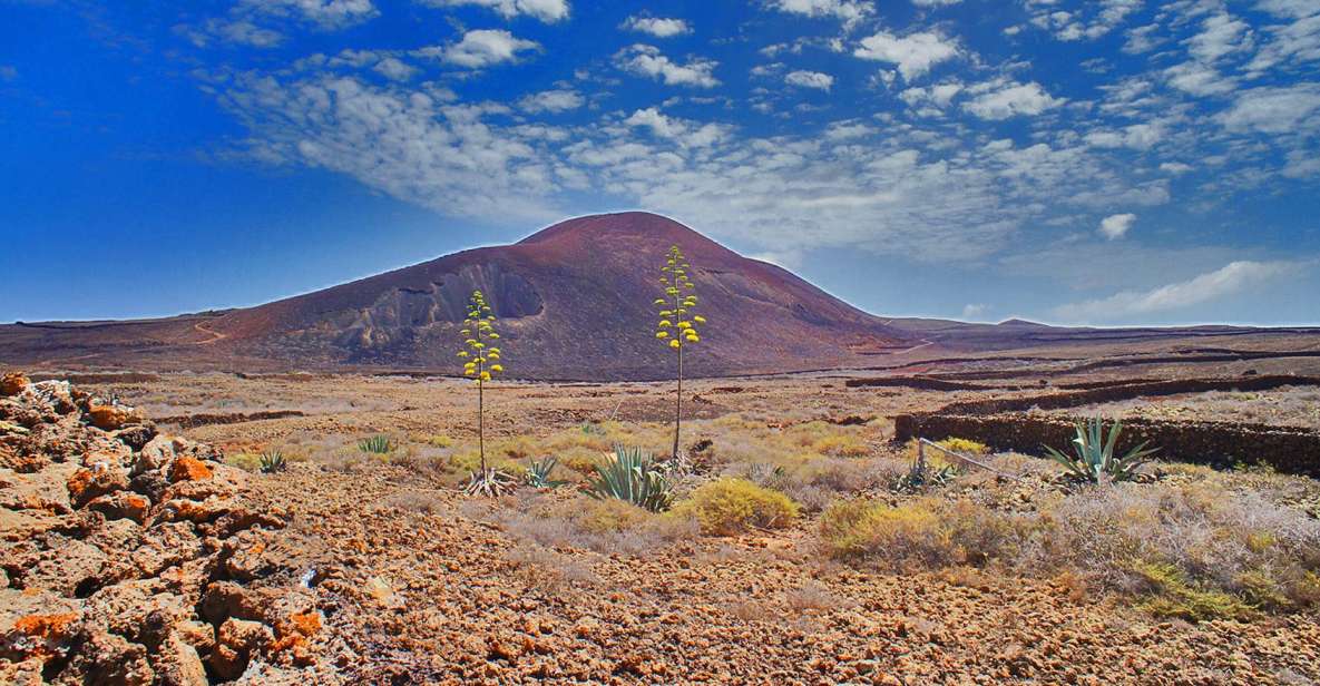 Fuerteventura: Trekking Tour Through the North of the Island - Key things about this North Fuerteventura trek (that you’ll feel on day one)