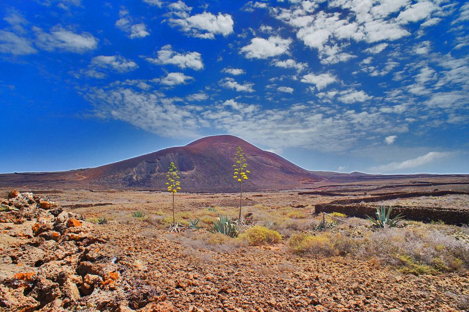 Fuerteventura: Trekking Tour Through the North of the Island - Fossil dunes and La Cañada de Melian: walking through time, not just rocks