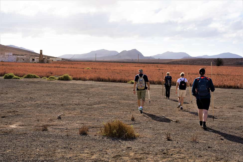 Fuerteventura: volcanic hike to the crater edge - Key highlights you’ll feel right away