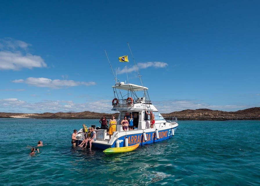 Fuerteventura: Whale & Dolphin Watching Boat Tour with Guide - Key highlights that matter on the water