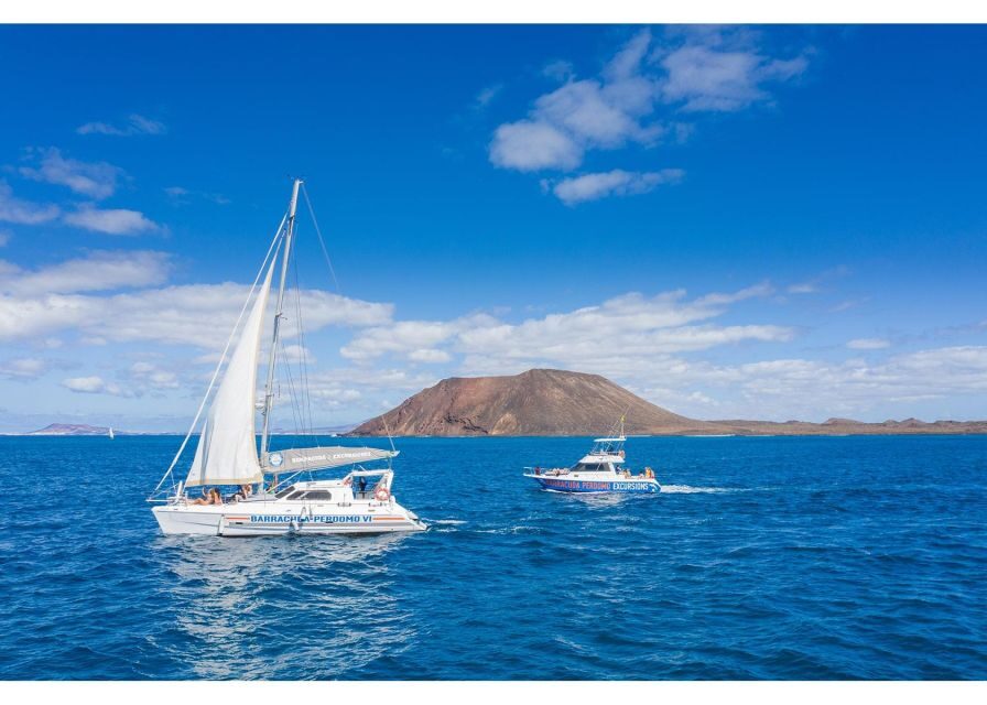 Fuerteventura: Whale & Dolphin Watching Boat Tour with Guide - Weather realities: getting soaked and managing motion