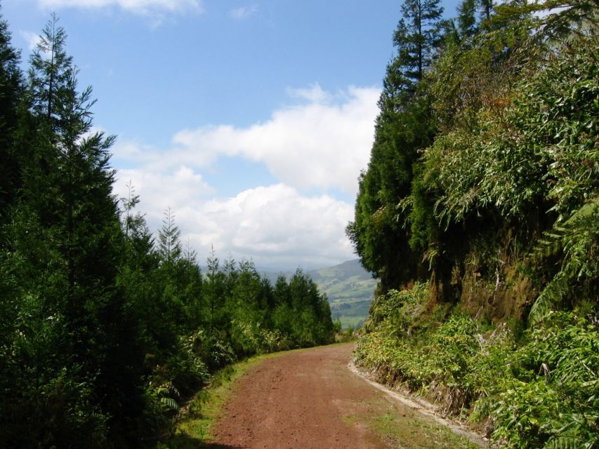 Full-Day 4x4 Nordeste Azores Tour from Ponta Delgada - Nordeste in a 4x4: why this route from Ponta Delgada feels different
