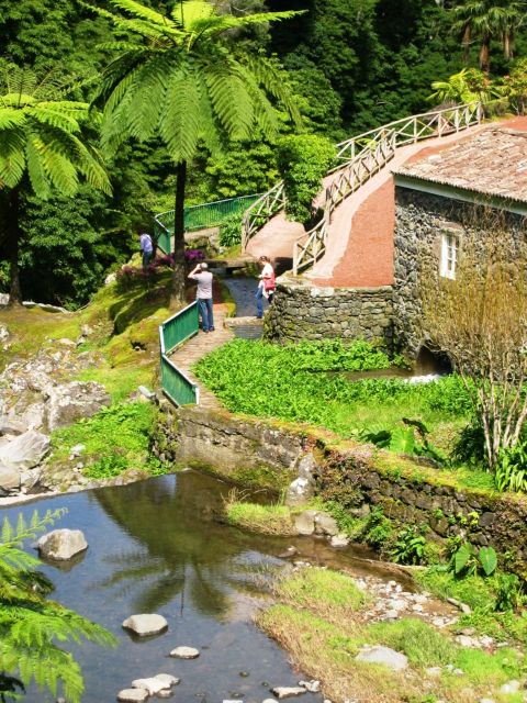 Full-Day 4x4 Nordeste Azores Tour from Ponta Delgada - Pico Bartolomeu and Pico da Vara: the big viewpoint payoff