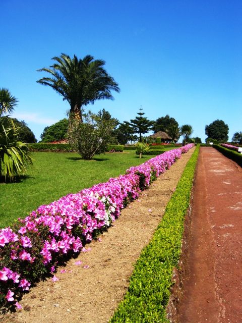 Full-Day 4x4 Nordeste Azores Tour from Ponta Delgada - Tronqueira Mountain Trail drive: old terrain at 4x4 speed