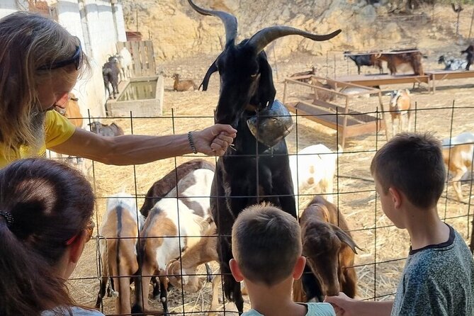 Full Day 4x4 Self-Drive Safari Tour in Crete with BBQ Lunch - Aposelemis dam, the Roman aqueduct at Tichos, and a coffee pause in Kastamonitsa