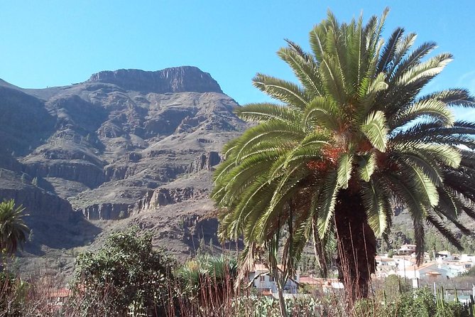 Full Day Across the Island Tour from Las Palmas - Santa Brígida’s green center and a coffee break that feels local