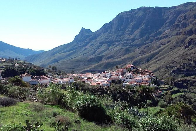 Full Day Across the Island Tour from Las Palmas - San Bartolomé de Tirajana: a village museum stop that adds context
