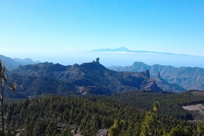 Full Day Across the Island Tour from Las Palmas - Maspalomas dunes and Charco de Maspalomas: sand time with a clear plan