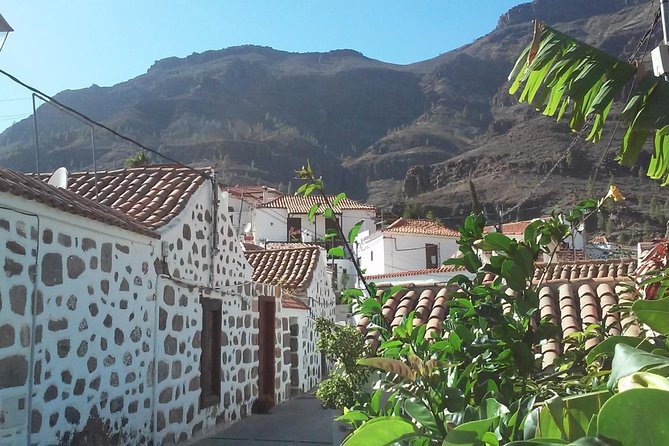 Full Day Across the Island Tour from Las Palmas - Price and value from Las Palmas: what you’re really paying for