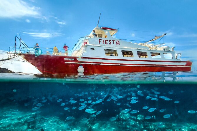 Full day boat tour transfers & lunch included - Cala en Turqueta: the swim stop with the big views and the busiest landing