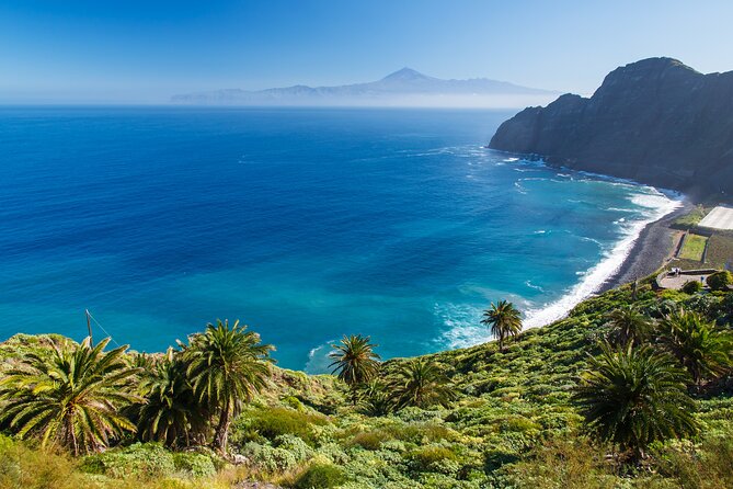 Full-day Bus Tour to La Gomera Island with Professional Guide - Key Things That Make This La Gomera Tour Work