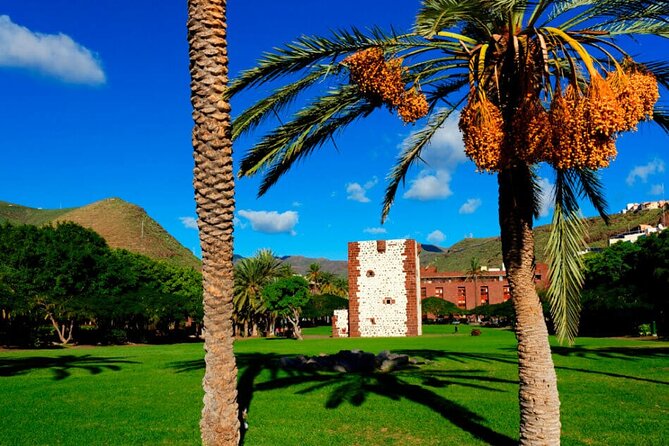 Full-day Bus Tour to La Gomera Island with Professional Guide - Tenerife to La Gomera: The Big Picture (and Why It’s Good Value)