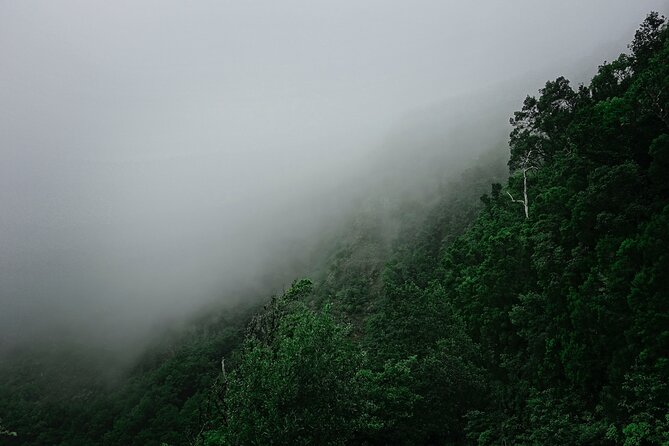 Full-day Bus Tour to La Gomera Island with Professional Guide - Agulo Lunch + Silbo Canario: Culture You Can Actually See