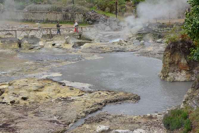 Full-Day Furnas Adventure: Lake, Fumaroles and Thermal Pools - Terra Nostra Botanical Garden: Plants with Different Climates Learning to Live Together