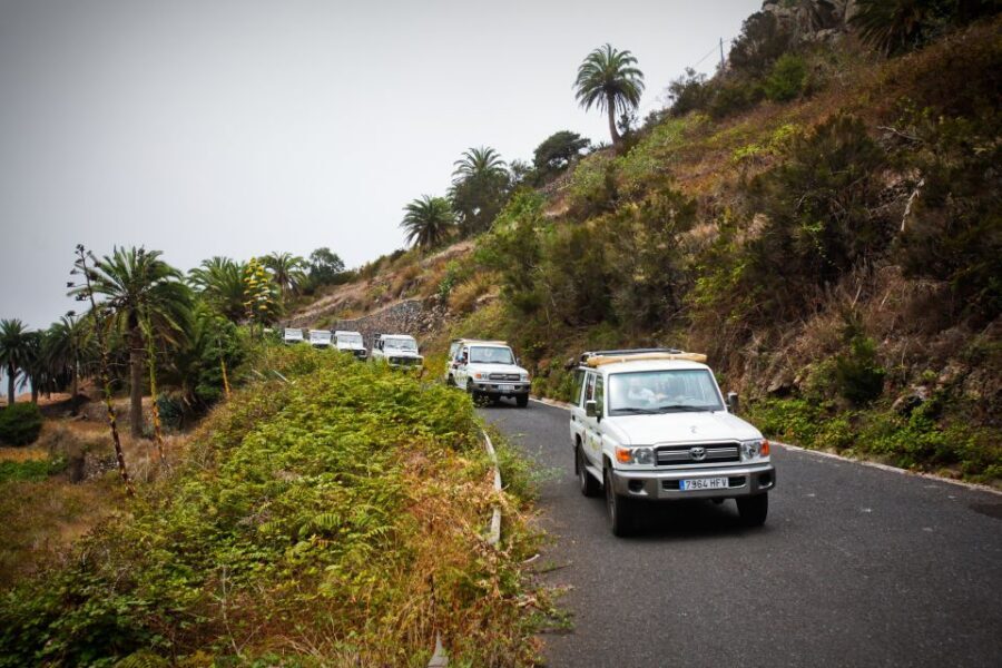 Full-Day Gomera Jeep Safari Excursion from Arona - Getting to Gomera: the 8:20 AM start you’ll feel all day