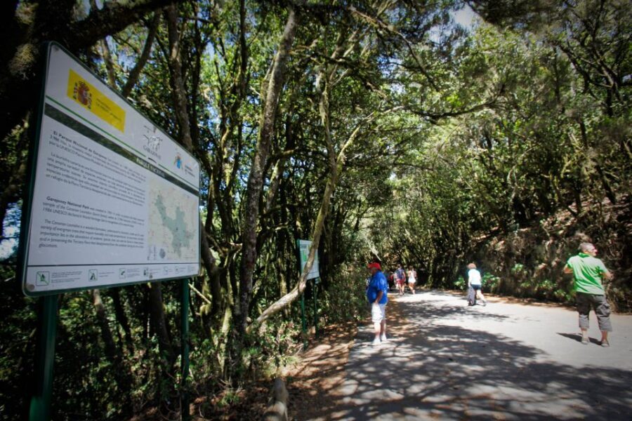 Full-Day Gomera Jeep Safari Excursion from Arona - Why the 4x4 jeep route feels different than a coach day