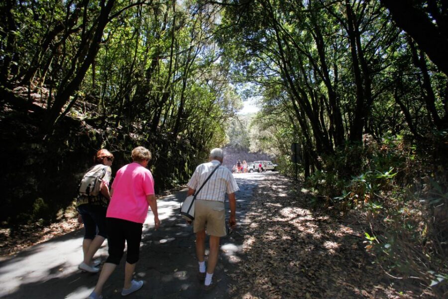 Full-Day Gomera Jeep Safari Excursion from Arona - Lunch in a local restaurant: included, scenic, and not all the same