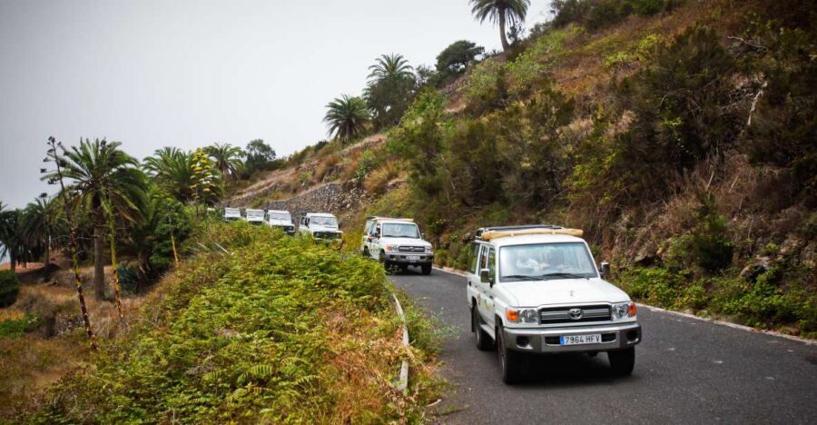 Full-Day Gomera Jeep Safari Excursion from Arona - Tenerife to La Gomera by ferry: a calmer first chapter