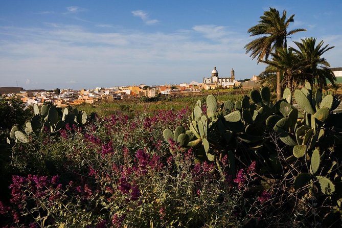 Full-Day Gran Canaria Island Tour - Cumbres - Telde, Fataga, and Firgas: how the towns fit the island story