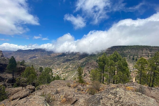 Full-Day Gran Canaria Tour with Teror, Tejeda and Lunch in Fataga - Fataga Lunch Time: Tierra Guanche Tapas-Style, Plus Cheese and Wine