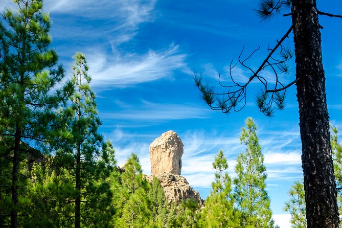 Full-Day Gran Canaria Tour with Teror, Tejeda and Lunch in Fataga - Guide, Driver, and Group Size: The Real-Day Experience
