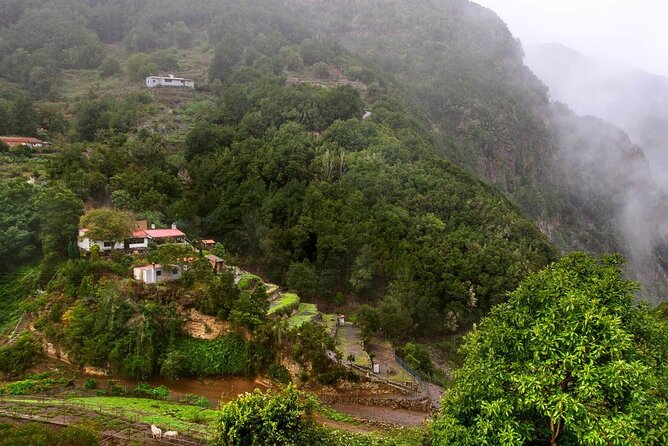 Full Day Guided Tour to La Gomera from Tenerife - The ferry to La Gomera: scenic time, handled logistics