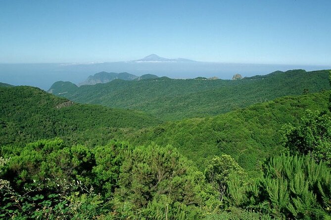 Full Day Guided Tour to La Gomera from Tenerife - Garajonay National Park: UNESCO laurel forest in just one hour