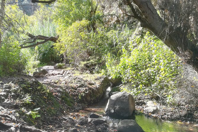 Full day Hiking and Waterfalls Experience - Key Things You’ll Notice on This Waterfalls Hike