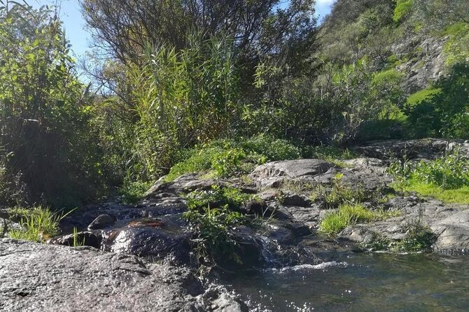 Full day Hiking and Waterfalls Experience - Waterfalls, Endemic Plants, and Lizards When the Sun Shows Up