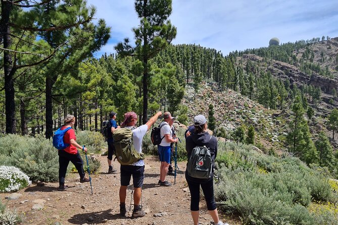 Full day Hiking Gran Canaria Peaks of Gran Canaria - Key highlights at a glance