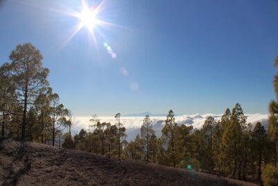 Full day Hiking Gran Canaria Peaks of Gran Canaria - Maspalomas pickup and timing: how to plan your morning
