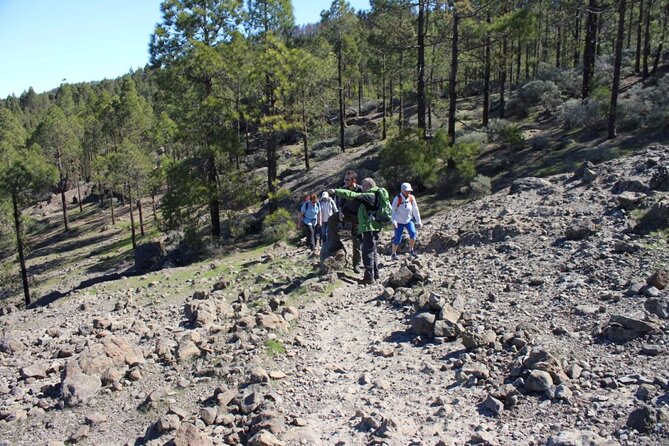 Full day Hiking Gran Canaria Peaks of Gran Canaria - Price and value: what $84.66 really buys