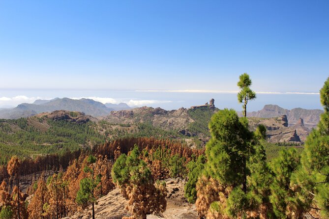 Full day Hiking Gran Canaria Peaks of Gran Canaria - Comfort checklist: shoes, layers, and heat/rain odds