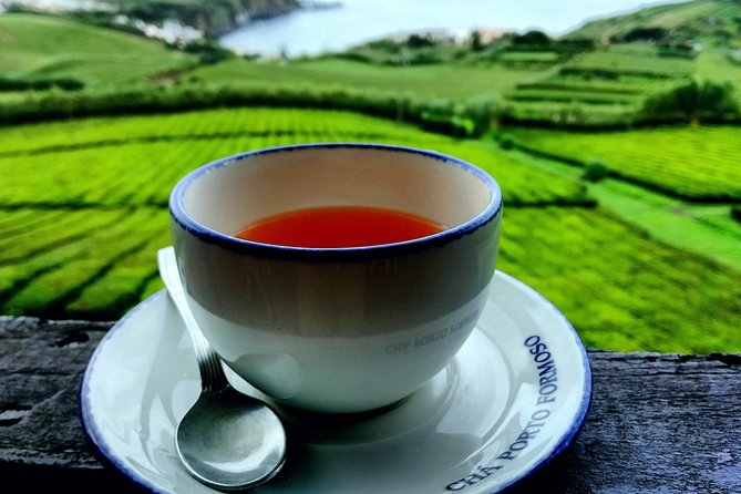 Full Day Jeep Tour Furnas with lunch (Cozido) and drinks included - Tea at Gorreana: 45 Minutes That Still Tastes Like a Side Quest Worth Doing