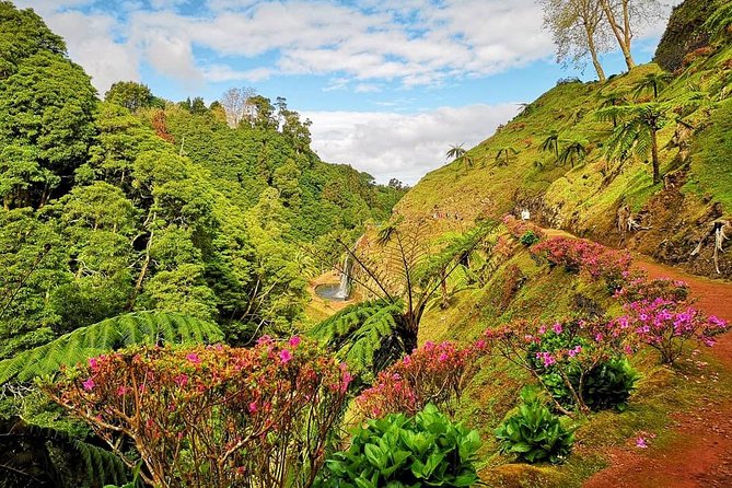 Full day jeep tour Nordeste with lunch included - Price and Value: What $108.13 Really Buys You