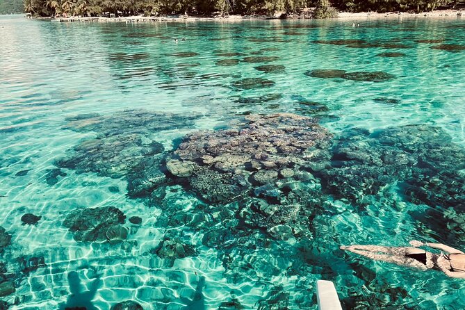Full-day Lagoon Safari Tour with Lunch in Bora Bora - Shared tour - Motu lunch: the calm break that makes the day feel complete