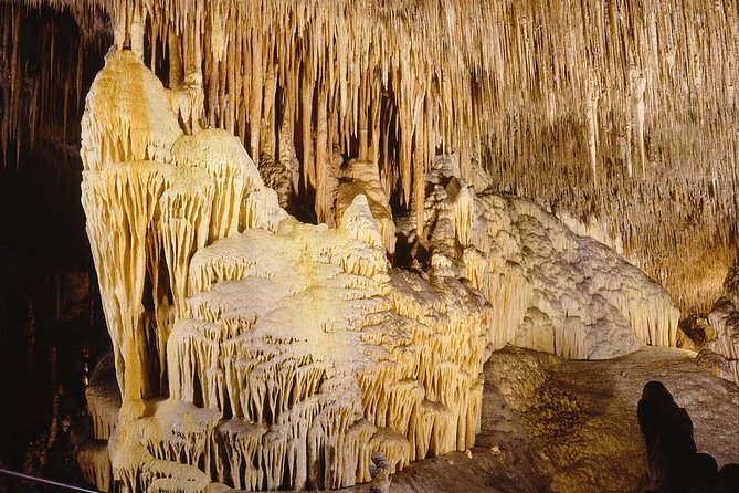 Full-Day Mallorca Caves Tour: Drach, Hams & Pearl Factory Visit - Group size and guides: multilingual professionalism with a fast pace