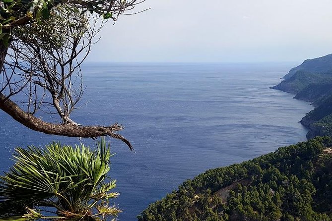 Full-Day Mallorca Caves Tour: Drach, Hams & Pearl Factory Visit - Photo strategy: where you’ll want to linger (and where you won’t)