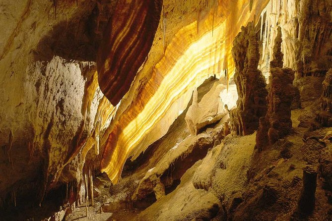 Full-Day Mallorca Caves Tour: Drach, Hams & Pearl Factory Visit - Who should book this Mallorca caves day trip?