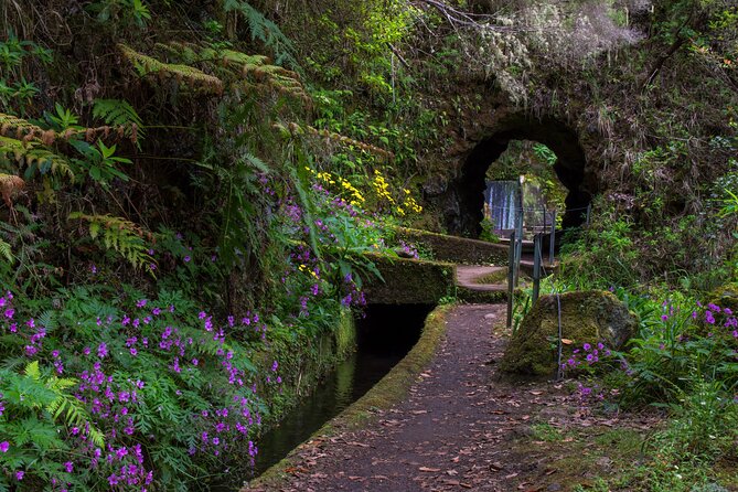 Full Day of Wonders: Madeira 4x4 Private Tour - Food breaks: how lunch and dinner usually work here