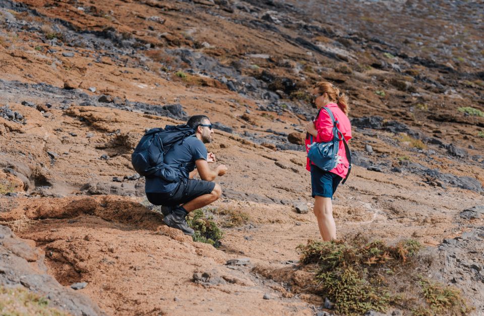 Full Day Ponta de São Lourenço - Natural Reserve - Returning the same way: why that’s not a bad thing
