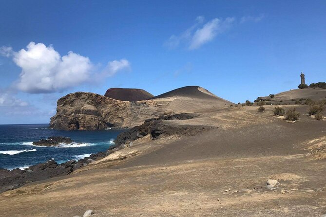 Full-Day Private Tour of Faial - Faial in one day: volcanoes, crater views, and the human story