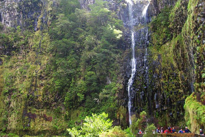 Full-Day Rabaçal Levada Walk from Funchal - Rabaçal Levada Walk Basics: what $52 and 8 hours really mean