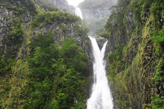 Full-Day Rabaçal Levada Walk from Funchal - From Paul da Serra to Risco Falls: the morning descent that sets the tone