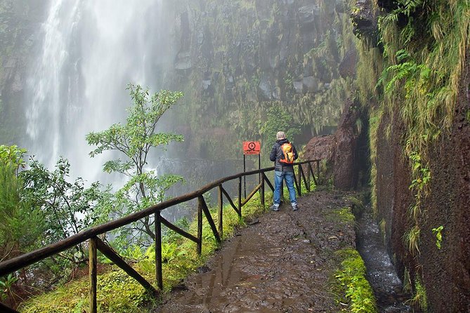 Full-Day Rabaçal Levada Walk from Funchal - The mandatory picnic rule: how to plan lunch without buying food