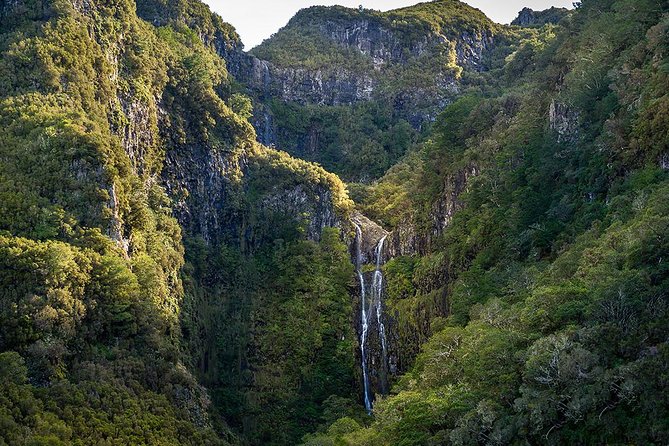 Full-Day Rabaçal Levada Walk from Funchal - 25 Fontes and Cascada da Risco: where the famous springs make sense